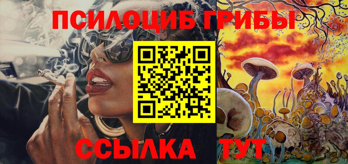 Гай  Псилоцибиновые грибы мухоморы  Псилоцибиновые грибы Magic Shrooms  Вход с VPN 